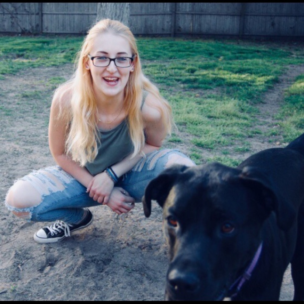 Welcome, I’m Sydney! - Picture 4 of 9